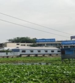 International Medical College