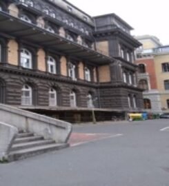 Semmelweis University,Hungary