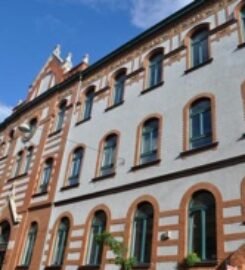 Semmelweis University,Hungary