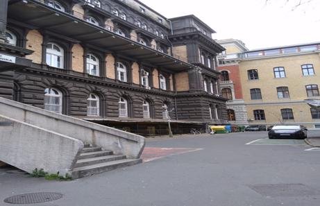 Semmelweis University