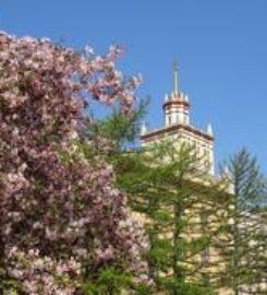 South Ural State University