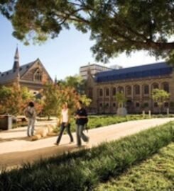 The University of Adelaide