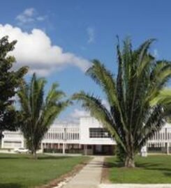 University of Belize