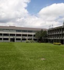 University of Mauritius