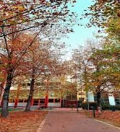 University of Verona (Università degli Studi di Verona)