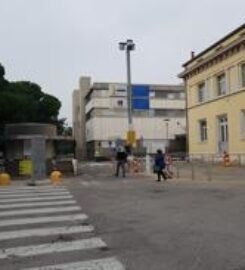 University of Verona (Università degli Studi di Verona)