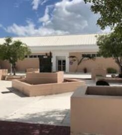 University of the Bahamas