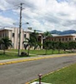 University of the West Indies