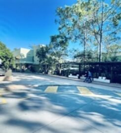 Griffith University