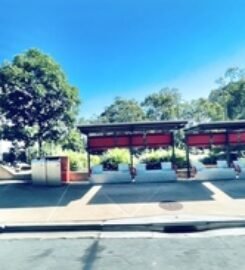 Griffith University